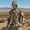 A106 Camouflage, variant on Xdegoge Deep Forest Bark Print Hooded Performance Shirt with Face Mask Men's Camouflage Baselayer Lightweight Woods Hunting Gear