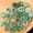 Green, variant on 25 Pcs Crystal Agate Rune Stones Set, Viking Divination Kit for Witchcraft, 1.6-1.9cm