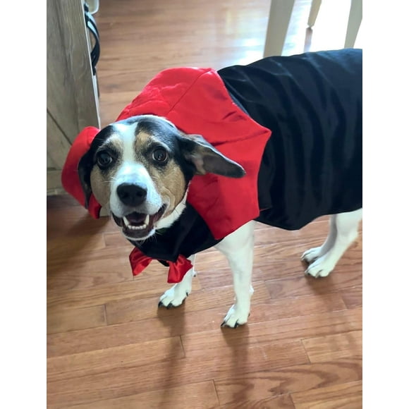 Count Woofula Vampire Themed Pet Dog Costume, Perfect for Halloween and parties, Xsmall