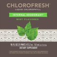 Nature's Way Chlorofresh Chlorophyll Liquid, 16 Fl Oz