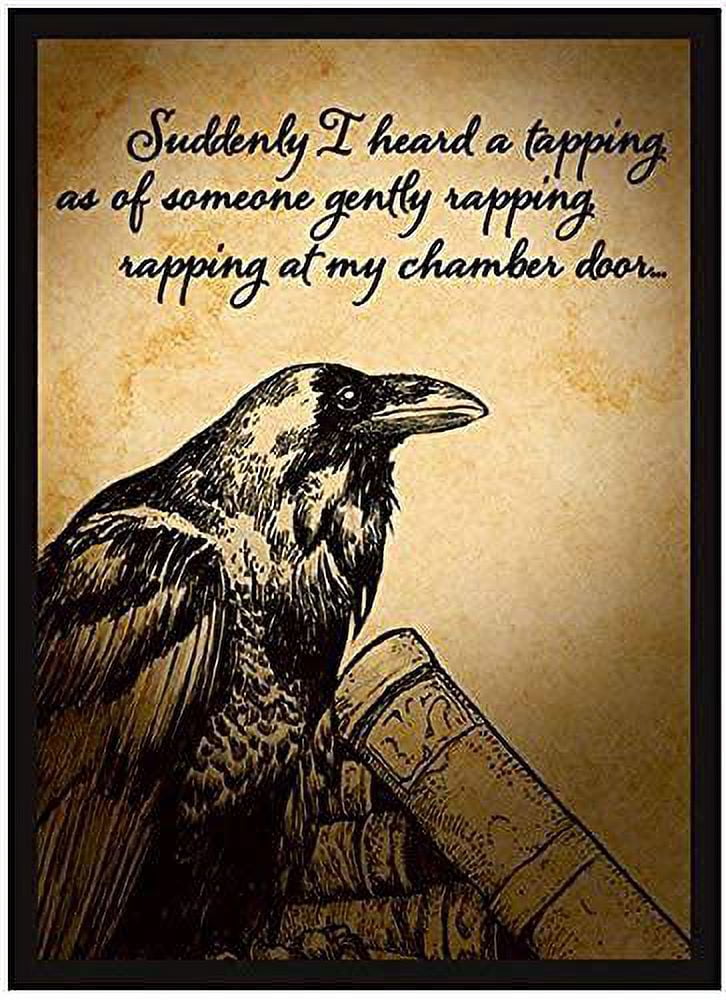 raven card sleeves Double Matte Art Sleeve - Raven (50ct)