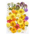 thumbnail image 3 of Birdeem Dried and Embossed Flowers for Resin Kit Candles and Crafts, 3 of 5