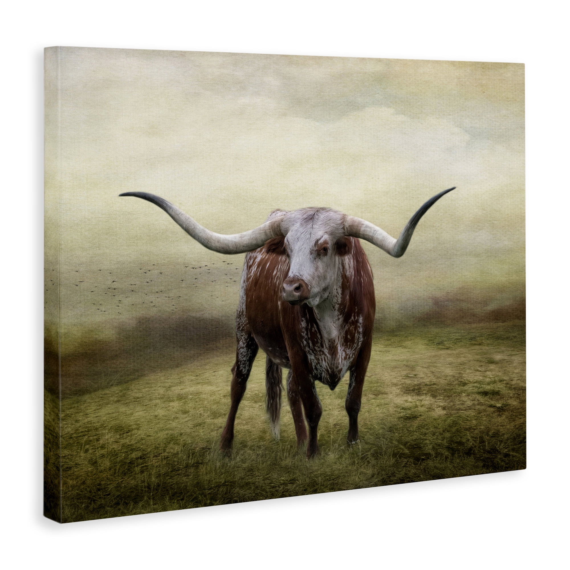 Stupell Industries Pride Of The Longhorn Animals & Insects Photography Gallery Wrapped Canvas Art Print Wall Art, 20 x 16