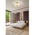 thumbnail image 2 of 3 Light Semi Flush Mount Frame Finish Bronze, 2 of 2
