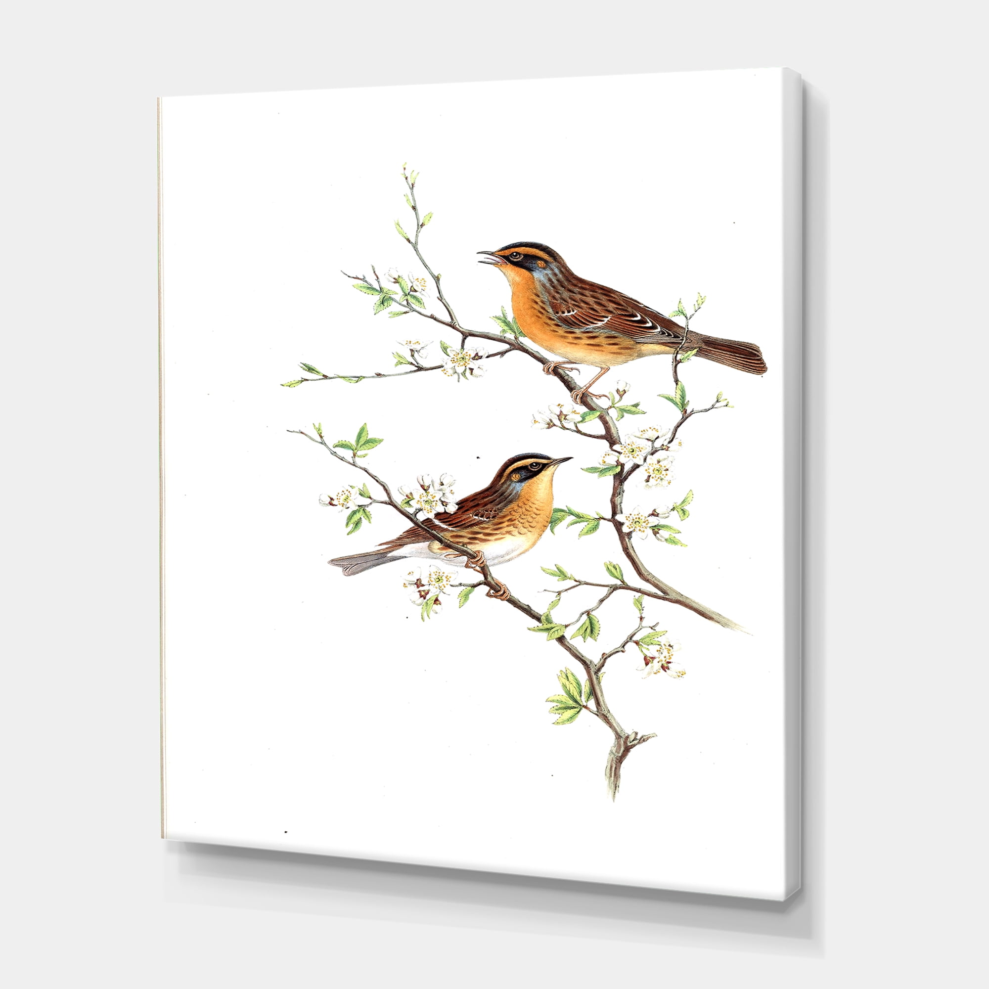 Designart ' Ancient Mammals II ' Farmhouse Canvas Wall Art Print