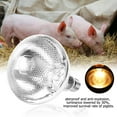 thumbnail image 4 of Pig Heat Lamp, Easy To Use Long Service Life  For Home, 4 of 8