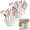2pcs, variant on Sea Shell Makeup Brush Storage Can, Sea Shell Vase, Coastal Clam Shells Shaped Vases Decor for Table, Beach Ceramic Seashell Flower Vases for Aesthetic Room Decors, Centerpiece Table Decor