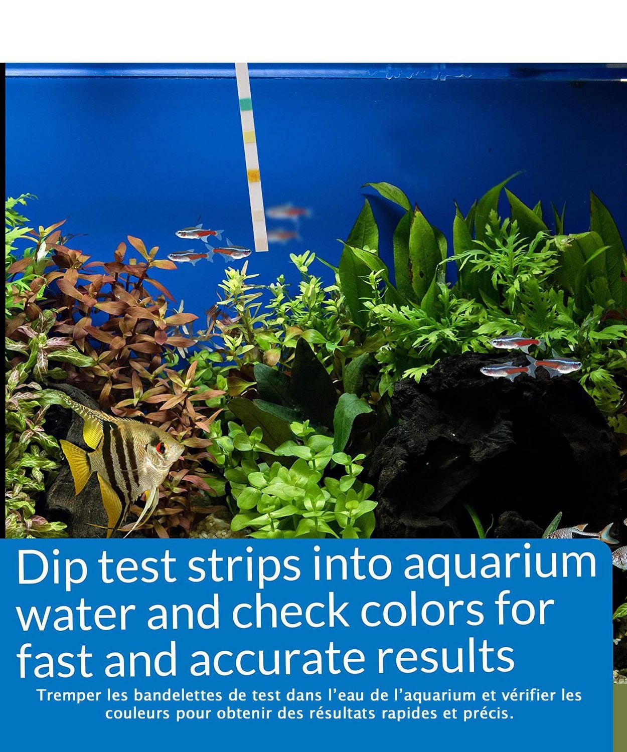 API 5-in-1 Aquatic Test Strips, 100ct