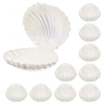 thumbnail image 3 of 10pcs Sea Shell Party Favors – Ocean-Themed Jewelry Boxes for Birthday, Beach & Under the Sea Parties – Lightweight Durable Plastic Treat Containers for Kids, Teachers, Event Planners, 3 of 7