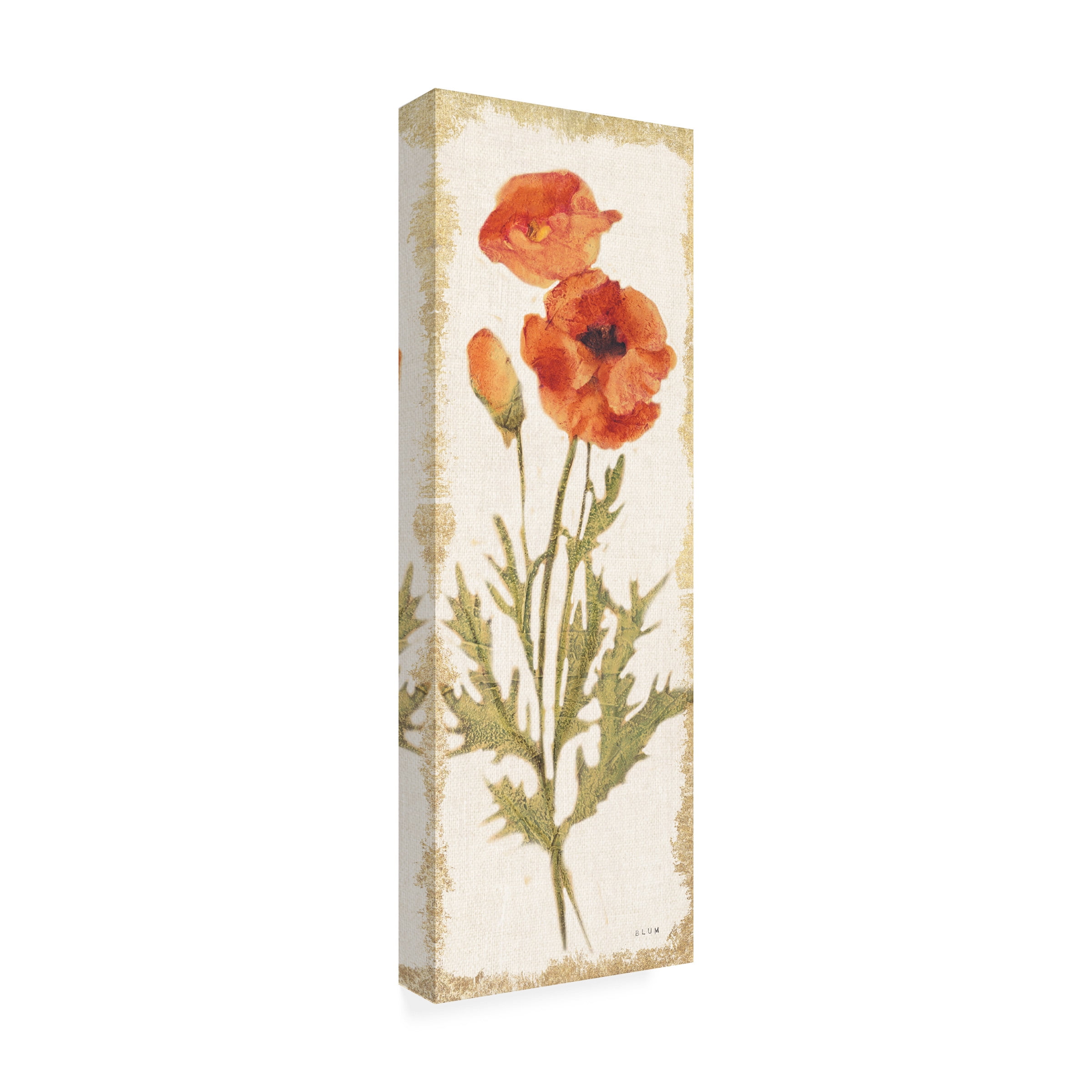 Cheri Blum 'Poppy Panel Light' Canvas Art