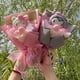 thumbnail image 2 of Muñeco de peluche de gato de dibujos animados My Melody Kuromi Cinnamoroll Kt, ramo de flores creativo, regalo de cumpleaños, graduación, Navidad y San Valentín, 2 of 5