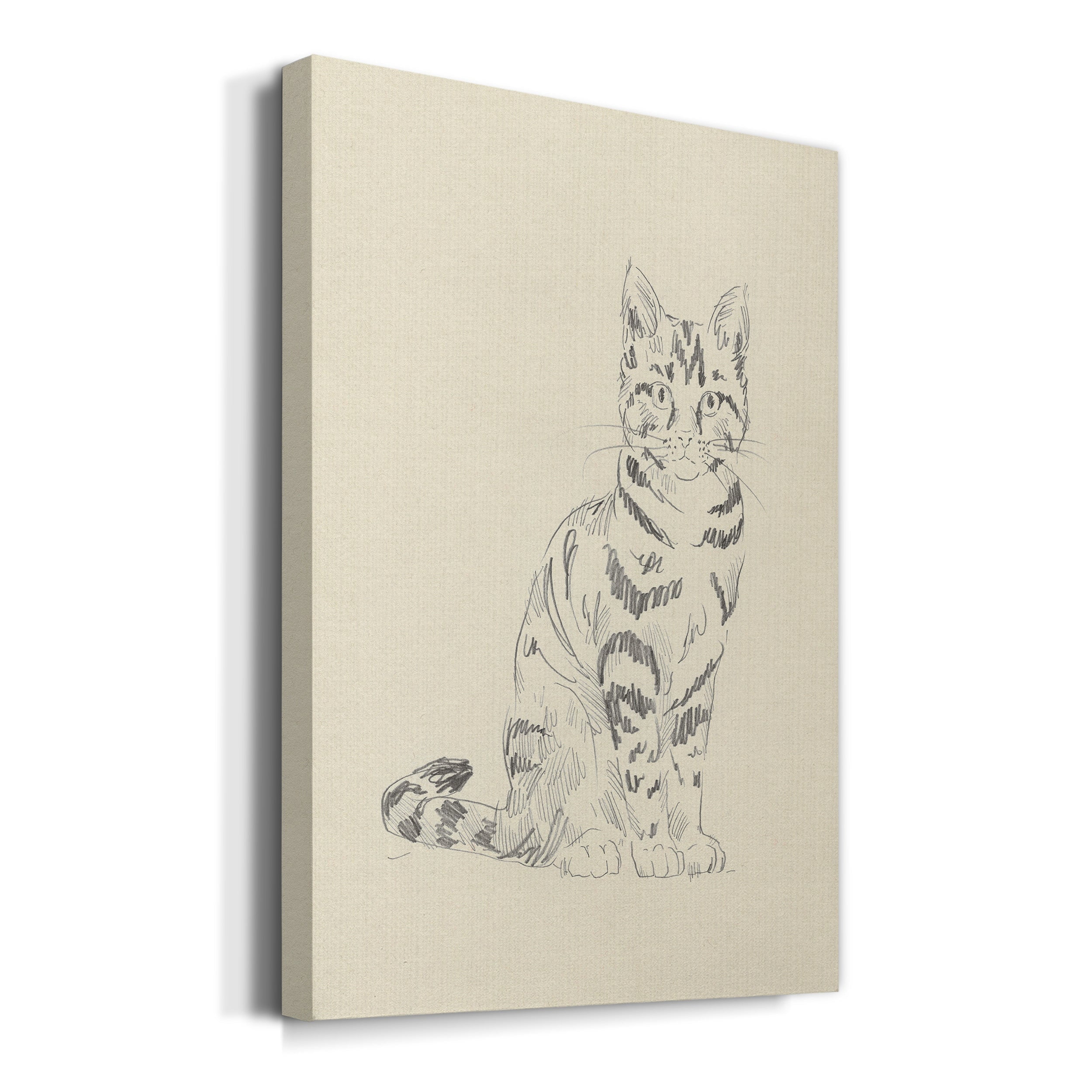 House Cat IV Premium Gallery Wrapped Canvas - Ready to Hang