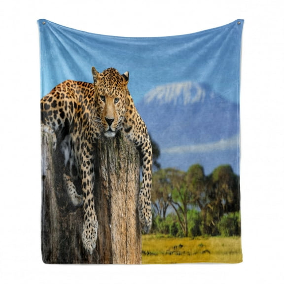 Africa Soft Flannel Fleece Throw Blanket, Leopard Sitting on a Tree Trunk with Mountain Range Journey up Kilimanjaro Scenery, Cozy Plush for Indoor and Outdoor Use, 70" x 90", Tan Blue, by Ambesonne