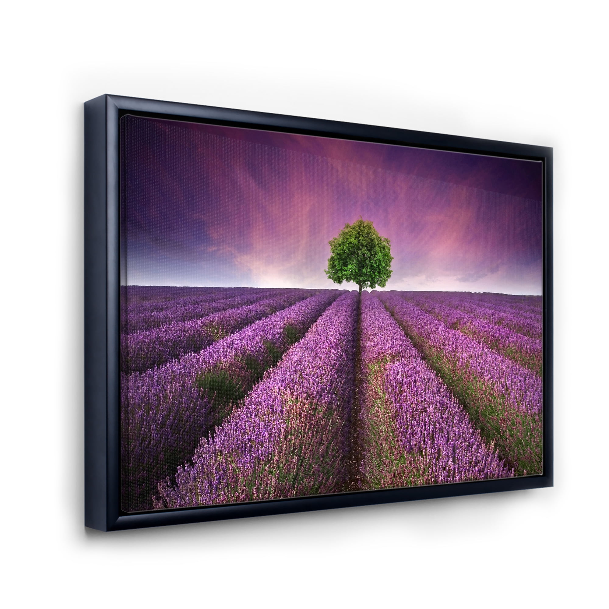 Designart 'Tree With Stunning Lavender Field Summer Sunset' Farmhouse Framed Canvas Wall Art Print