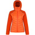 thumbnail image 1 of Regatta - Chaqueta térmica modelo Andreson II de la colección Great Outdoors para mujer (Calabaza/Canela) Regatta UTRG1853_P, 1 of 1
