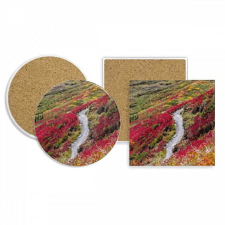 

Colorful Forestry Science Nature Scenery Coaster Cup Mug Holder Absorbent Stone Cork Base Set