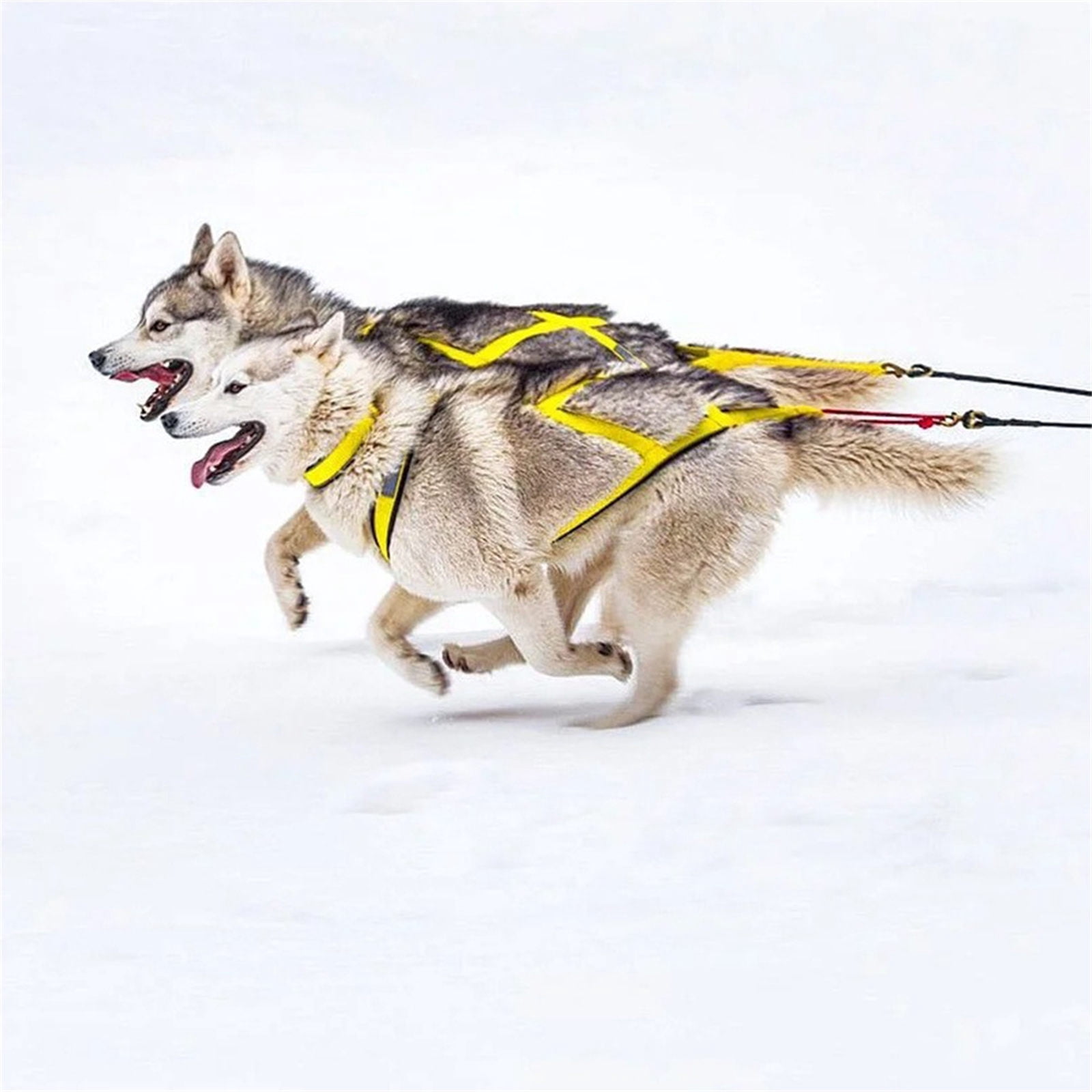 Ergonomic Dog Sledge Harness for Large Breeds Reflective Pet Sledding Skijoring Harness High Strength Chest Strap