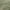 Green, variant on Addison Rugs Chantille Indoor/Outdoor Transitional Swirls Green Washable Rectangle Rug, 10' x 14'