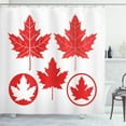 thumbnail image 1 of Leaves Shower Curtain, Monochrome Canadian Flag Motif with Different Design North American Foliage, Fabric Bathroom Set with Hooks, 69W X 70L Inches, Coral and White, by Ambesonne, 1 of 3