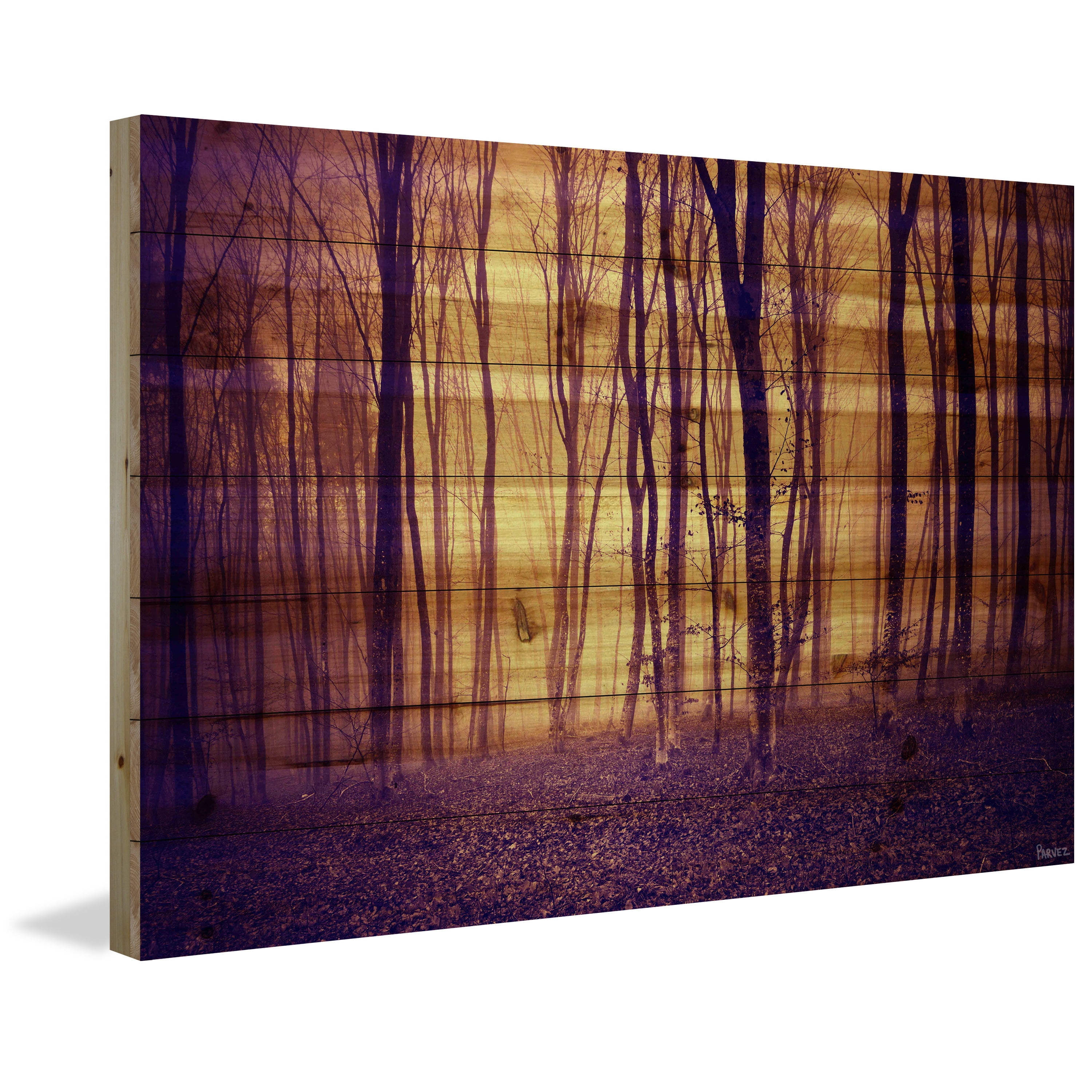 Parvez Taj "Crimson Forest" Painting Print on Natural Pine Wood