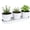 White, variant on Metal Indoor Herb Planters – with Drainage Holes & Tray, for Windowsill, Kitchen, Balcony, Office