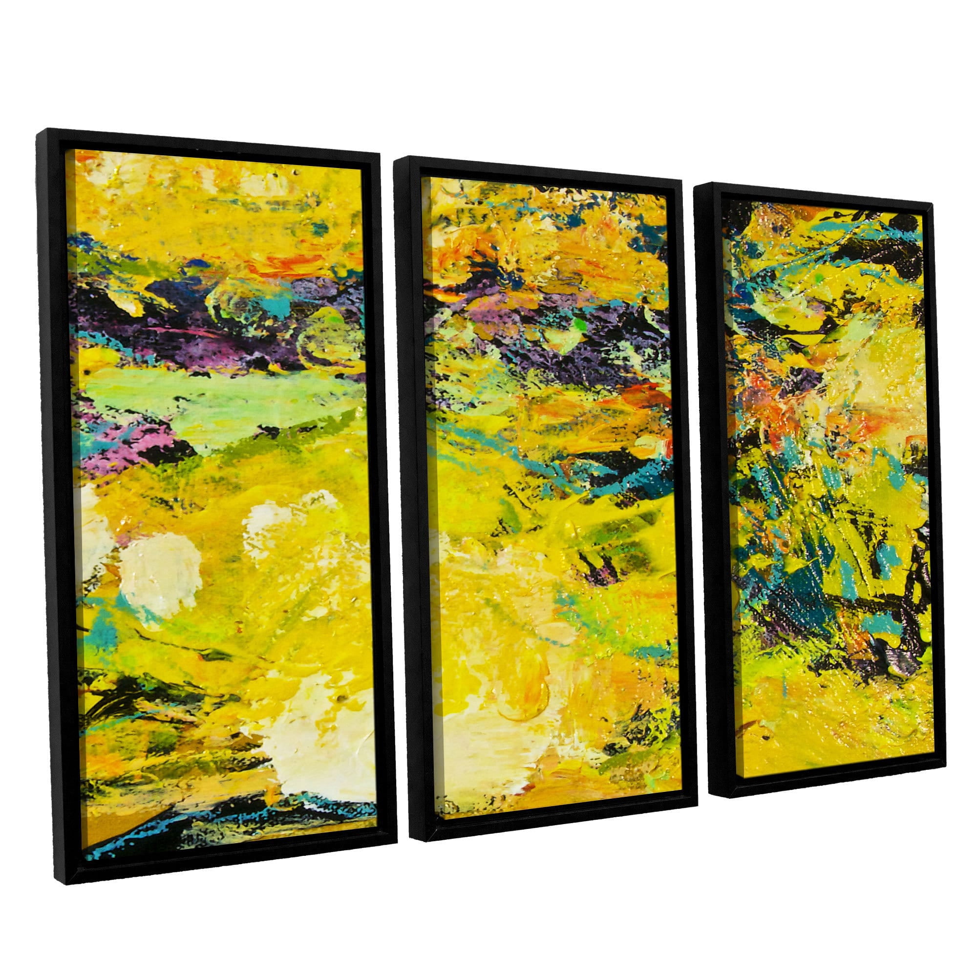 ArtWall Allan Friedlander "Watermelon Patch" 3-Piece Floater-framed Canvas Set