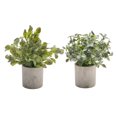 thumbnail image 1 of Artificial Plant In Cement Pot Asstd - Set of 2, 1 of 3