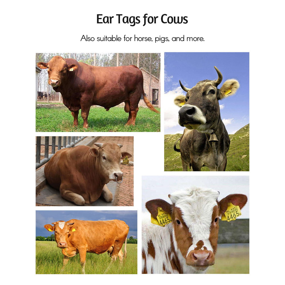 100Pcs/Set Sheep Goat Pig Cattle Cow Livestock Ear Number Tag 001-100 Number JS 