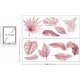 thumbnail image 2 of Juego de 2 hojas de calcomanías de pared con plantas tropicales rosas, hojas de palma, vinilo decorativo, arte de pared DIY, 2 of 8