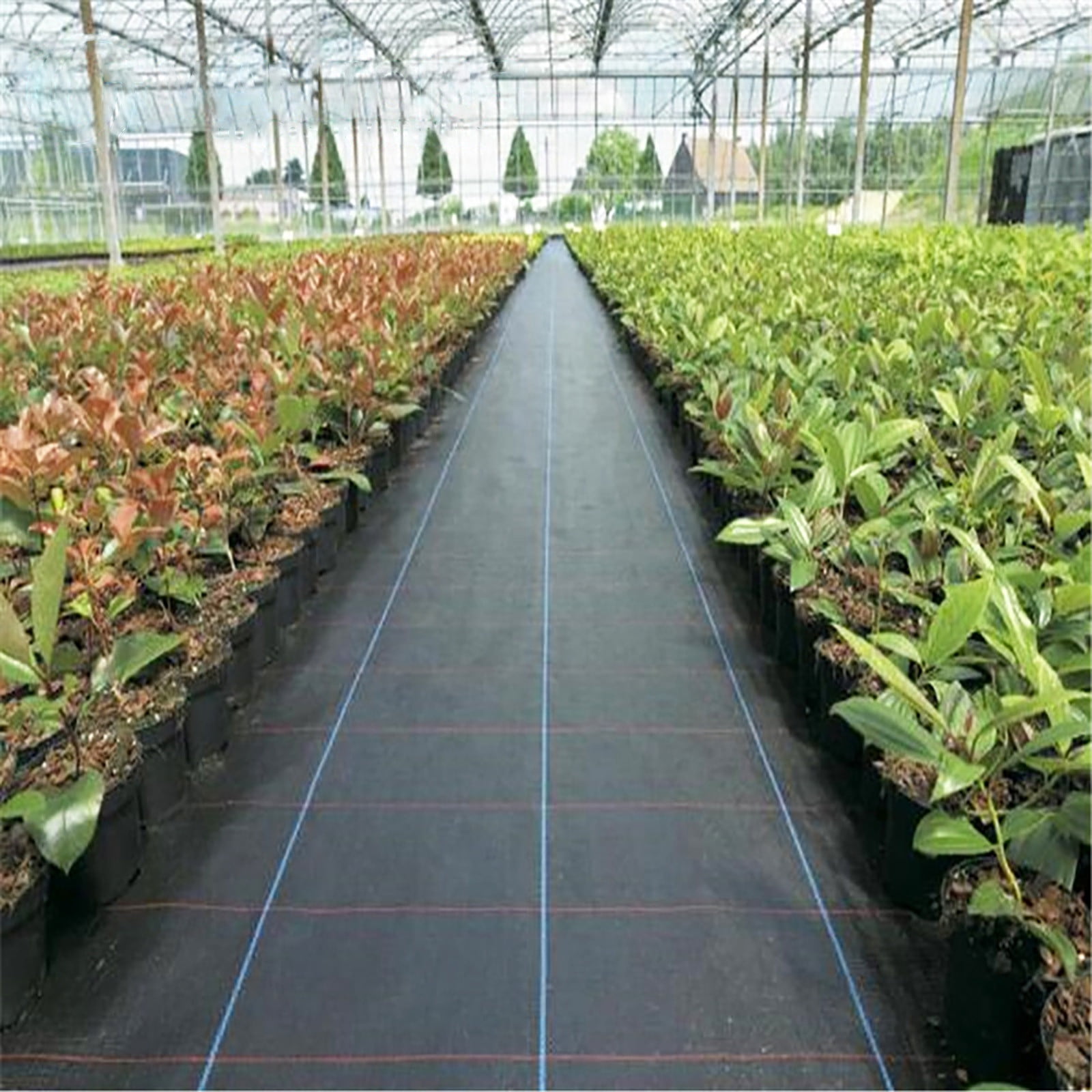 TTJ Barrier Ground Cover Fabric 3.3x16.4/32.8/49.21/65.62ft Landscape Weed Block Gardening Mat Heavy Duty Scape Lane Membrane for Mulch Beds Driveway