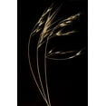 thumbnail image 2 of Geyman, Vitaly 17x24 Gold Ornate Wood Framed with Double Matting Museum Art Print Titled - Grass Mosaic II, 2 of 4