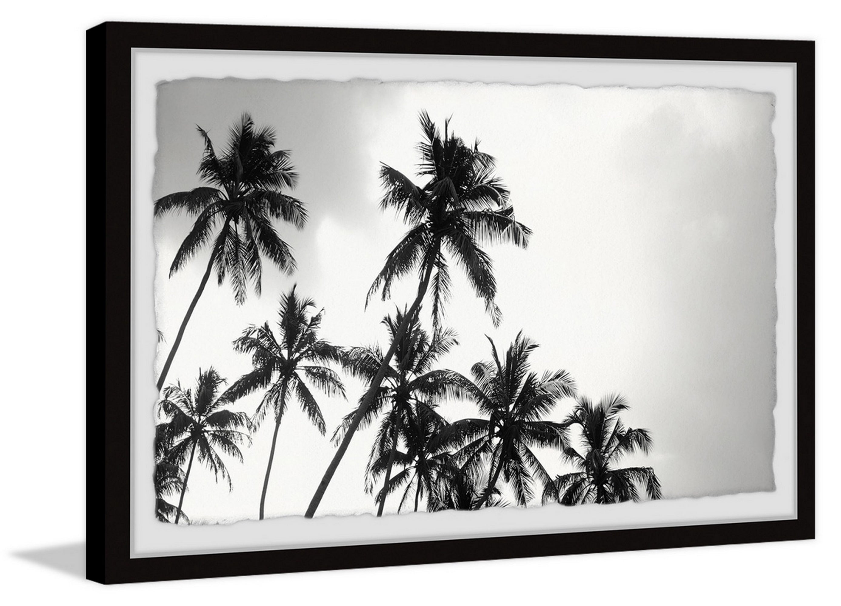 Marmont Hill Black and White Palms Framed Wall Art, 12" x 18"
