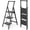 Black, variant on 3 Step Ladder, Ladders for Home, Anti-Slip Pedals, Aluminum Step Stool Foldable, Lightweight to Move, Ease of Storage, Reach 8ft for Closet Kitchen Library, Hold 300lbs - Black