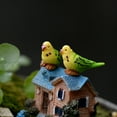 Liushuuuu Parrots Birds Mosses Micro Rockeries Bottles DIY Landscaping