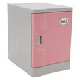 thumbnail image 1 of Armoire de Rangement Verrouillable avec Clé Grande Capacité de Rangement Rose, Facile à Utiliser, 1 of 5