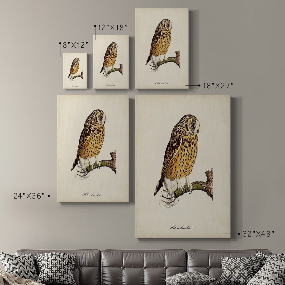 French Owls II Premium Gallery Wrapped Canvas - Ready to Hang