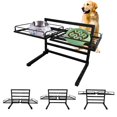 thumbnail image 1 of Soporte para cuencos para perros Tookincmo de metal elevado, 1 of 7