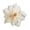 Champagne, variant on fuxzkrlz 2 Pcs Artificial Lotus Flower Head Small Realistic Clematis Flowers for DIY Wedding Party Craft Home Office Garden Hotel Decoration