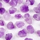thumbnail image 5 of Xiao Hua Piedra de cristal natural morada de 1 kg, tipo flor de diente, piedra aromática natural cruda, decoración para pecera, piedra triturada de cristal de 0,5-2 cm., 5 of 5