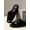BLACK, variant on Solid Color Minimalist EVA Couple Slippers, Soft Comfort Non Slip Casual Indoor Home Slides for Men & Women