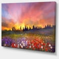 thumbnail image 2 of Field of Poppy Dandelion and Daisy - Large Floral Canvas Artwork, 2 of 4