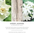 thumbnail image 3 of Chesapeake Bay Candle Minimalist Collection Sheer Jasmine - 12.7oz Large Ribbed Glass Jar Candle, 3 of 7
