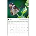 thumbnail image 3 of Calendar Ink, Butterflies WWF 2025 Wall Calendar, 3 of 4