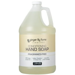 Ginger Lily Farms Botanicals Natural Pure Hand Soap, Vegan Ginger Lily Farms Botanicals Natural Pure Hand Soap, Vegan