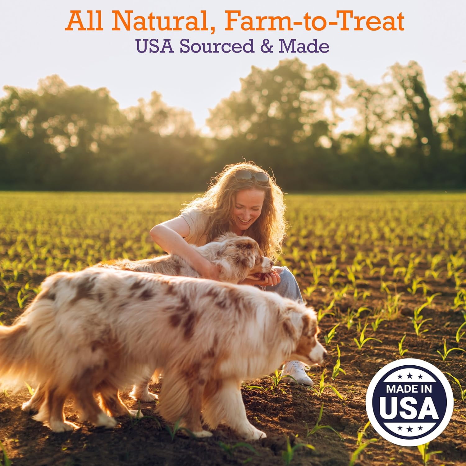 Riley's Dog Jerky Treats - Turkey & Sweet Potato - Non-GMO, High Protein, All Natural Dog Chews - Training Treats for Small & Large Dogs - Easy to Break into Bite-Sized Pieces - 10oz