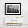 thumbnail image 2 of Hurricane Ridge Pines B&W - Washington Photography Black and White Forest Nature Landscape Mountain Scenic Winter Black Framed Wall Art Print 5 x 7 inches, 2 of 4
