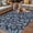 White Gray Blue Navy Blue, variant on Gray Blue Dandelion Outdoor Rug for Patio/Deck/Porch, Non-Slip Large Area Rug 5 x 7 Ft, Spring Flowers Modern Minimalist Indoor Outdoor Rugs Washable Area Rugs, Reversible Camping Rug Carpet Runner