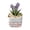 Purple, variant on Handmade Glass Tulip Flower, Artificial Decorative Never Wither for Home Office Desk, No Watering Needed