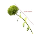 thumbnail image 2 of BotaniNest Dianthus Faux Soft Green For Home And Display, 2 of 3