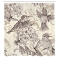thumbnail image 3 of Ambesonne Hummingbirds Shower Curtain, Old Birds and Flowers, 69"Wx84"L, Cream Beige Brown, 3 of 4